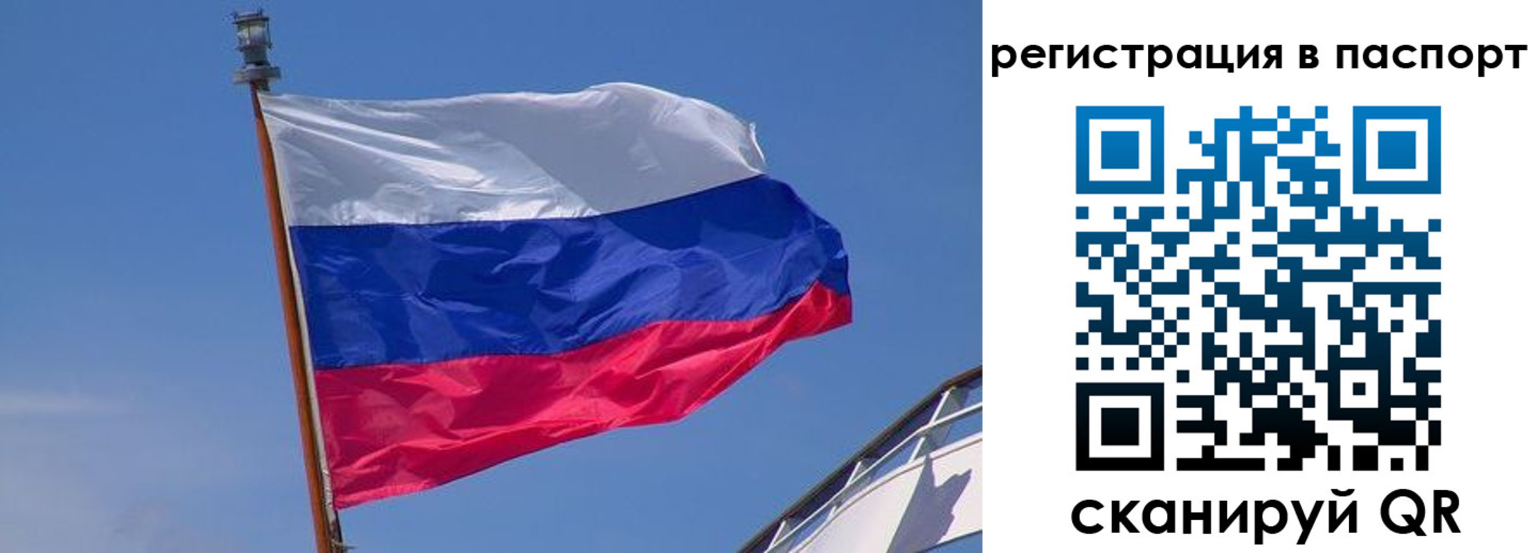 прописка законно в Острогожске